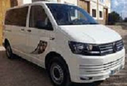 Servicio de Mini Van